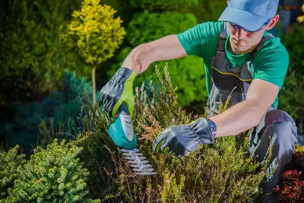 landscaping services Siracusaville